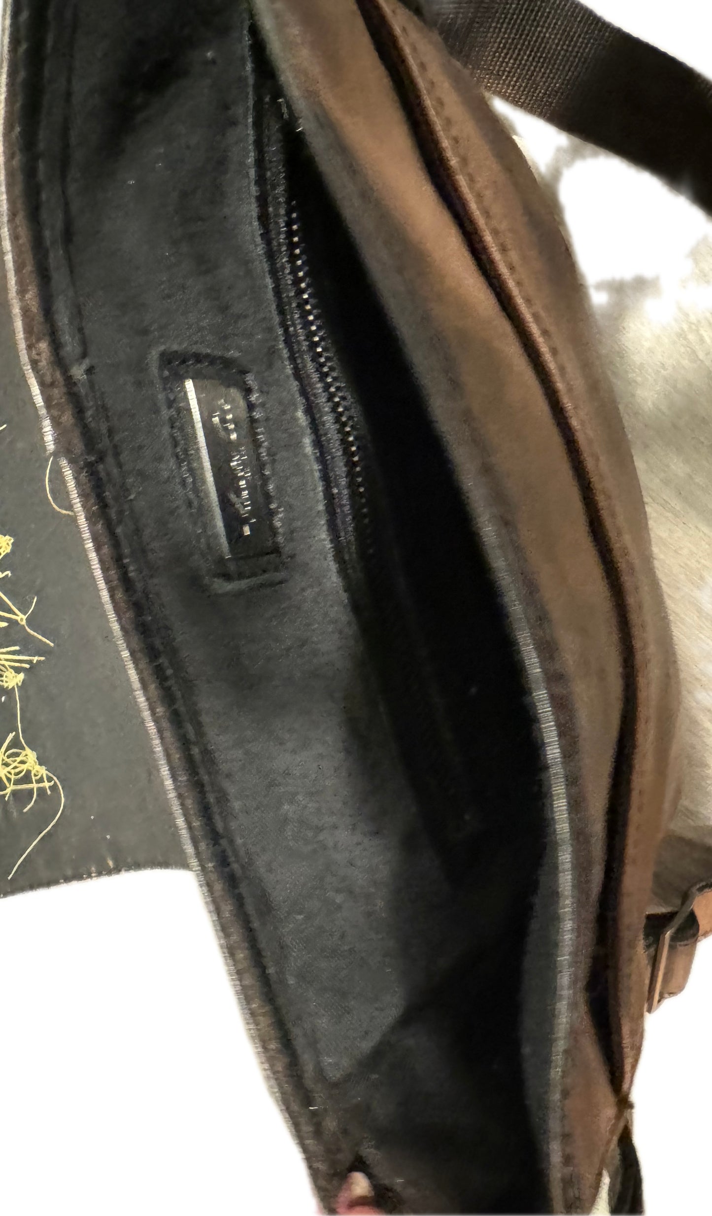 “The Wealthy” crossbody bag